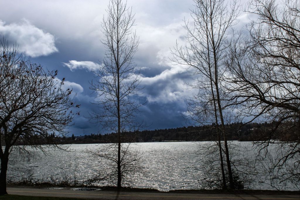 Grey Skies Over A Lake