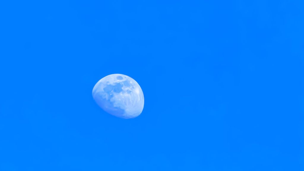 Daytime Moon In Seattle