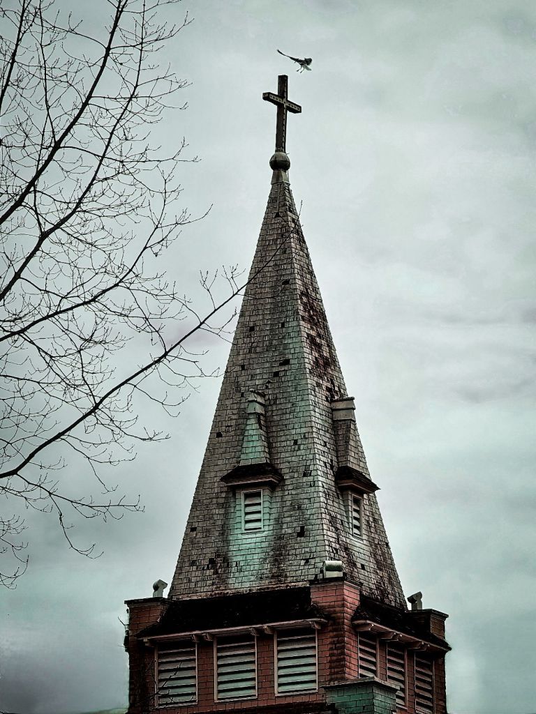 Seagull Landing On A Church Steeple